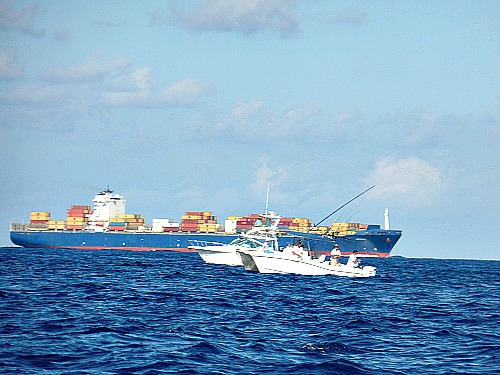 Florida Keys Humps GPS Coordinates, Deep Sea Fishing Facts